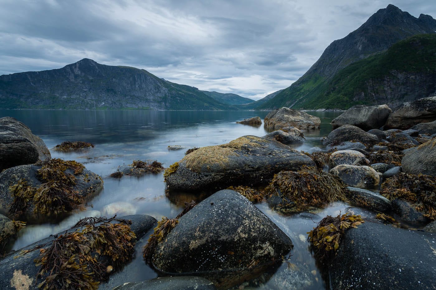 Rocky View