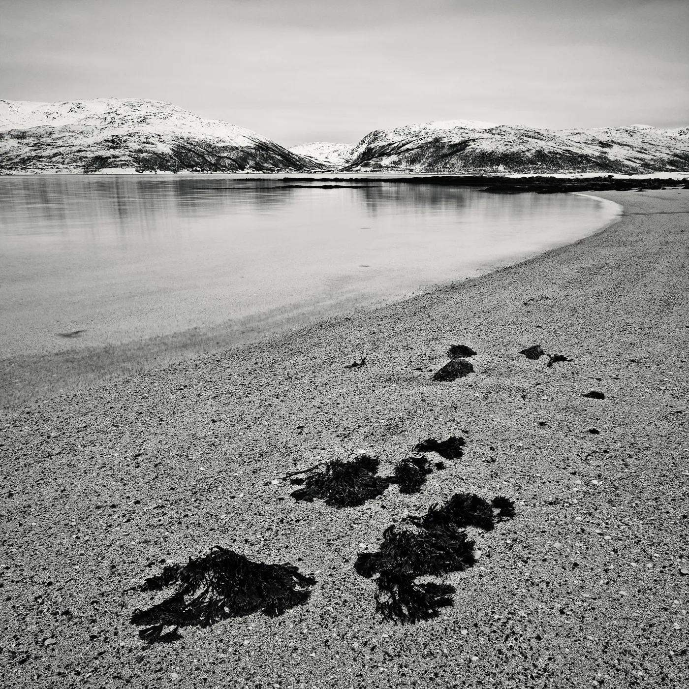 Arctic Beach #2 A sepia toned image of a beach, covered with shells with reflections snow covered mountains in the water
