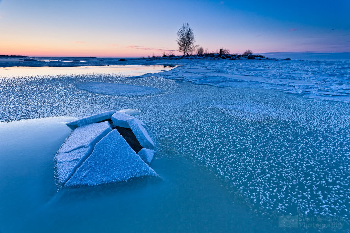 The First Frost #1