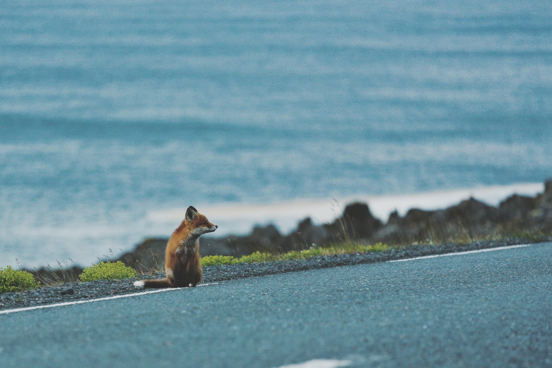 Unexpected Company