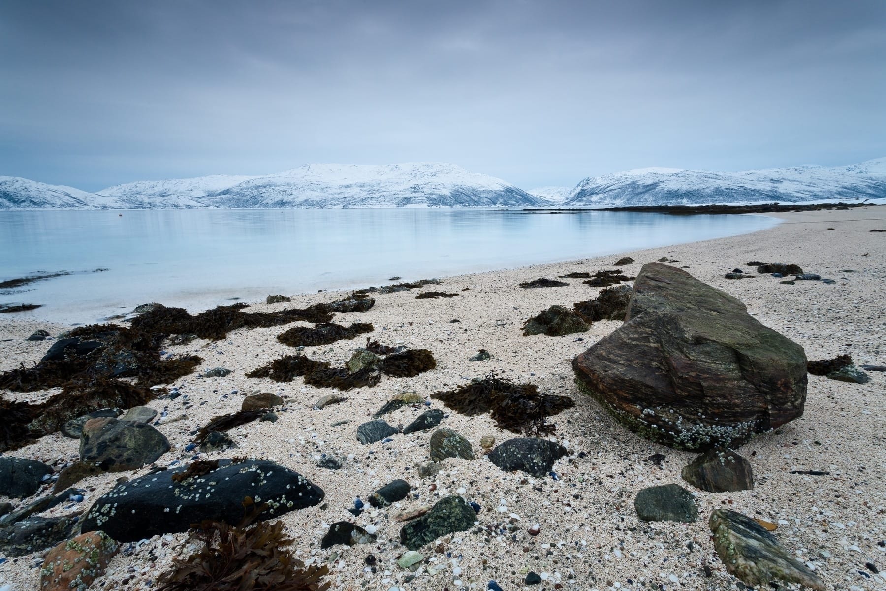 Arctic Beach #1