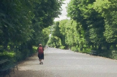 Weeknotes #1